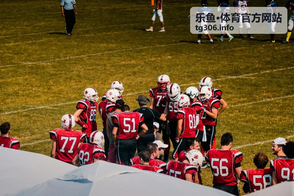 乐鱼·体育官方网站赛事数据展示界面